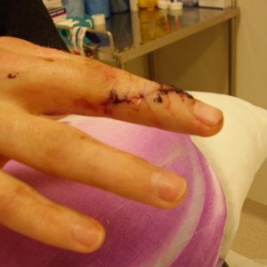 stitched1.JPG
