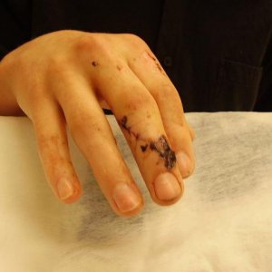stitched3.JPG
