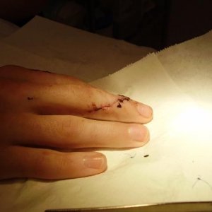 stitched4.JPG