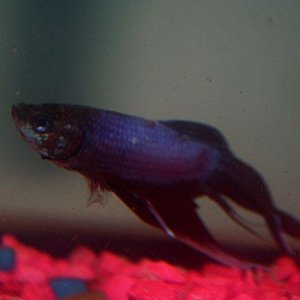 IMG_86801.jpg