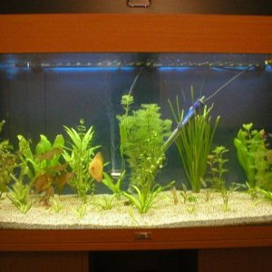 full_tank.JPG