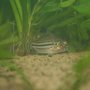 IMG_3285.JPG