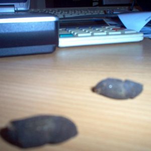 claw2.JPG
