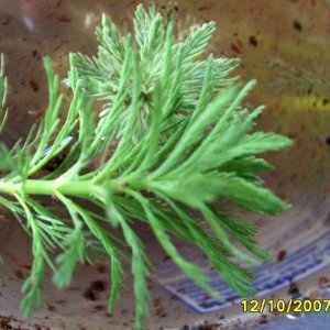 new_pics_172.jpg