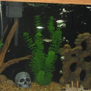 pic6.jpg