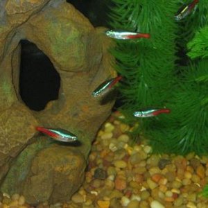 pic6.jpg