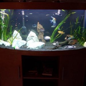 aquariu_016.jpg