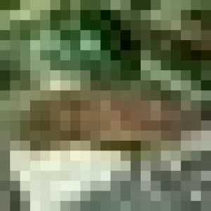 Spike_small.jpg
