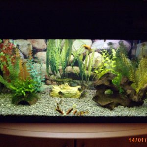 Img_0584.jpg
