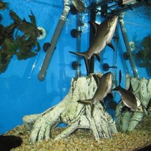 IMG_0694.JPG
