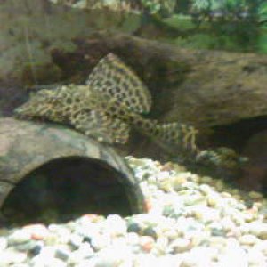 mr_plec_19.01.08.jpg