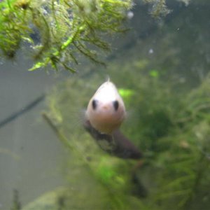 Picture_038__Small_.jpg