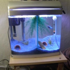 Picture_071__Small_.jpg