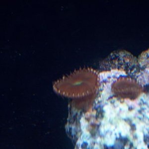 Picture_011.jpg