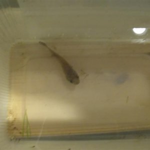 Picture_084__Small_.jpg