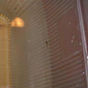 Picture_087__Small_.jpg