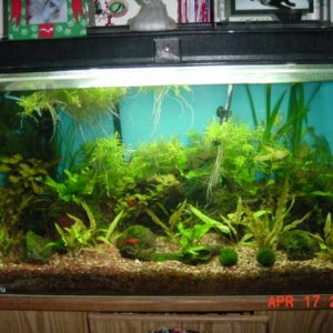 plants_007.jpg