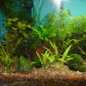plants_016.jpg