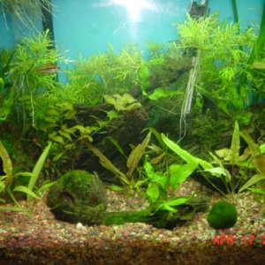 plants_017.jpg