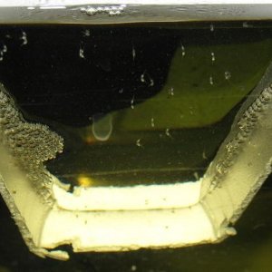 fish1212.jpg