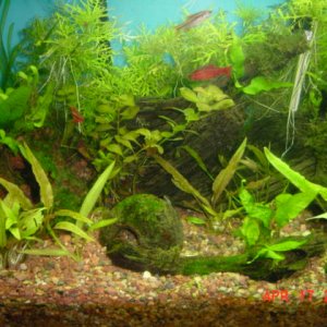 plants_014.jpg