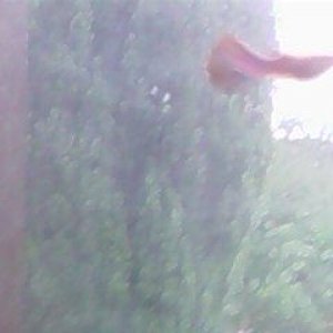 IMAG0764.jpg