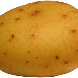 potato.jpg