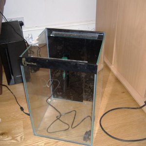 robinhill_032newsize.jpg