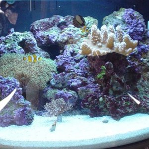 DSC03078__Small_.JPG