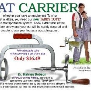 cat_transport.jpg