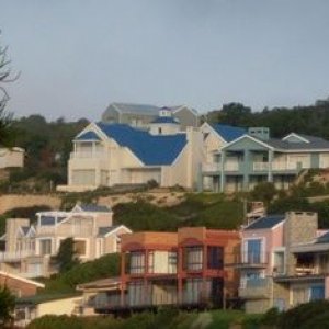 SDC10001.jpg
