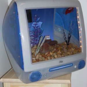 iMac_tank.jpg
