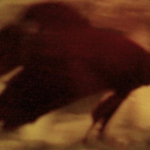 SP_A0330.jpg
