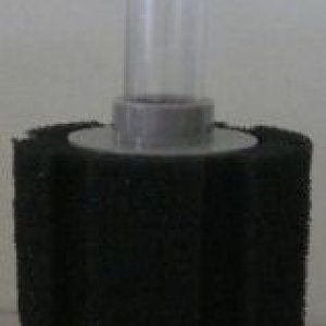 4c5f_1_sbl.jpg