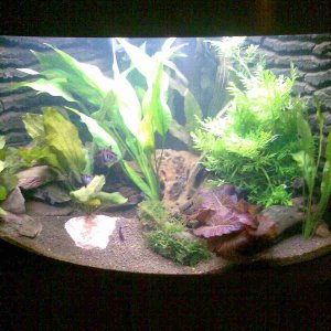 Image000b.jpg