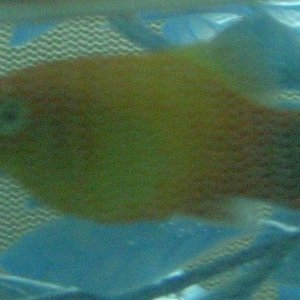DSCN2325.JPG