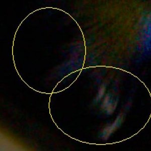 ScreenHunter_1.jpg