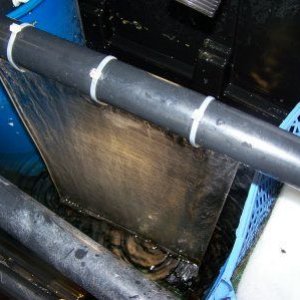 turf_scrubber_2.jpg