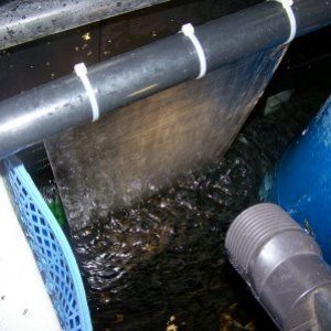 turf_scrubber_3.jpg