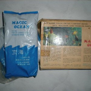 magic_ocean2_003.JPG