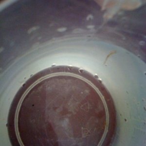 photo.jpg