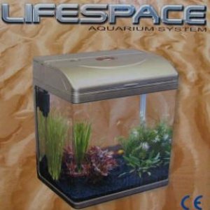 lifesp1.jpg
