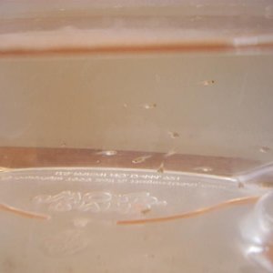 Picture_139__Medium_.jpg