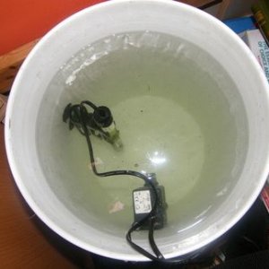 Bucket_Hatchery_Real.jpg