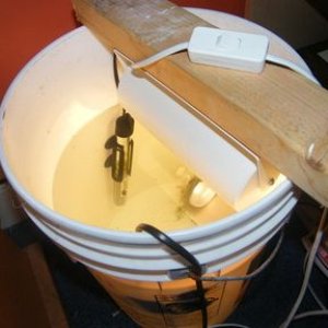 Bucket.jpg
