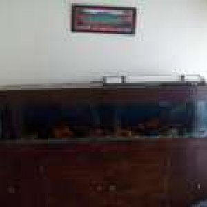 th_101_0716.jpg