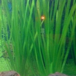 DSC00286___.jpg