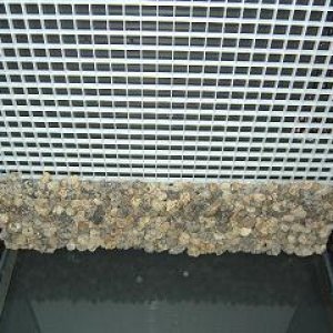 Picture_025.jpg