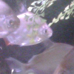 IMG00125.jpg