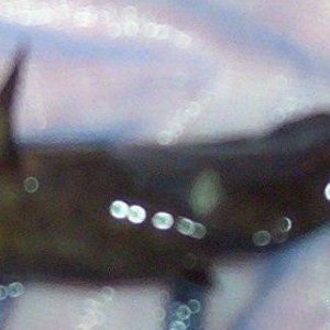 101_0012.JPG